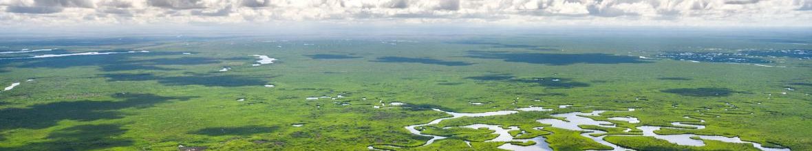 DeSantis Backs Everglades Funding in Budget