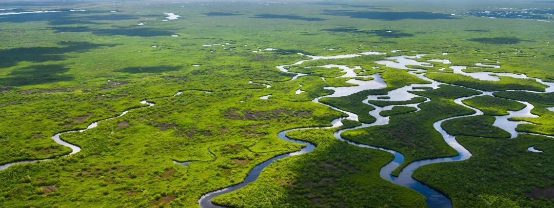 Everglades Key to Clean Water Future