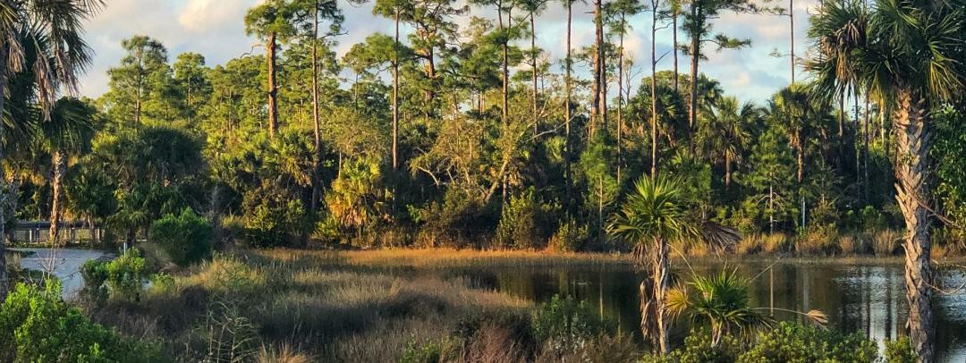 DeSantis Signs State Parks Bill