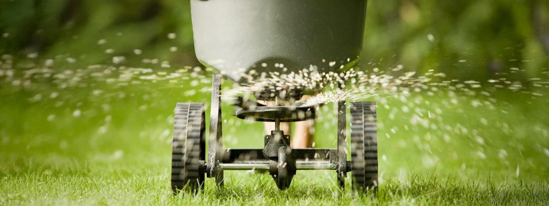 Quick Summer DIY Projects to Refresh Your Home