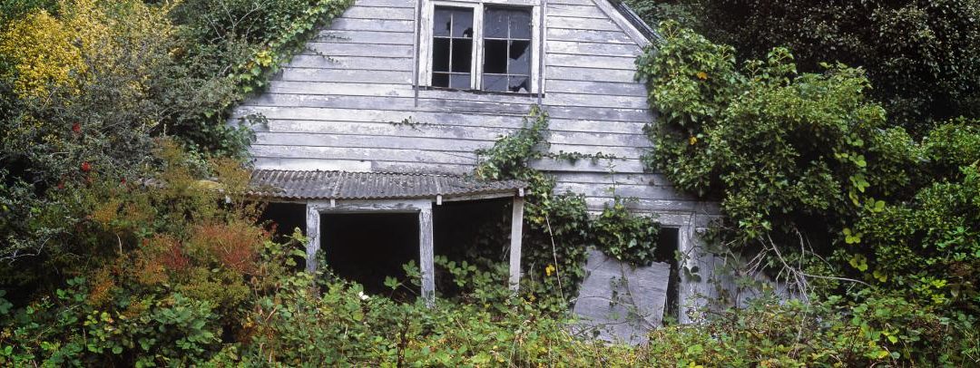 Why Long-Empty Homes Are More Than an Eyesore