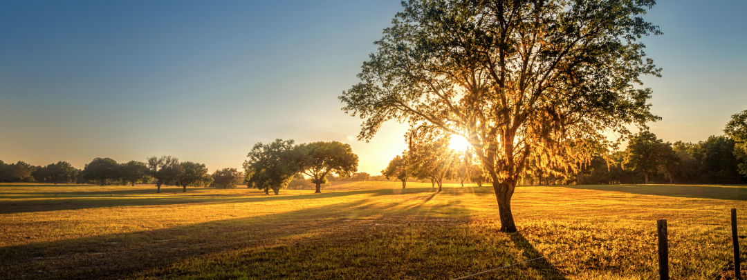 Winter Freezes Hit Growers With $3.1 Billion Tab