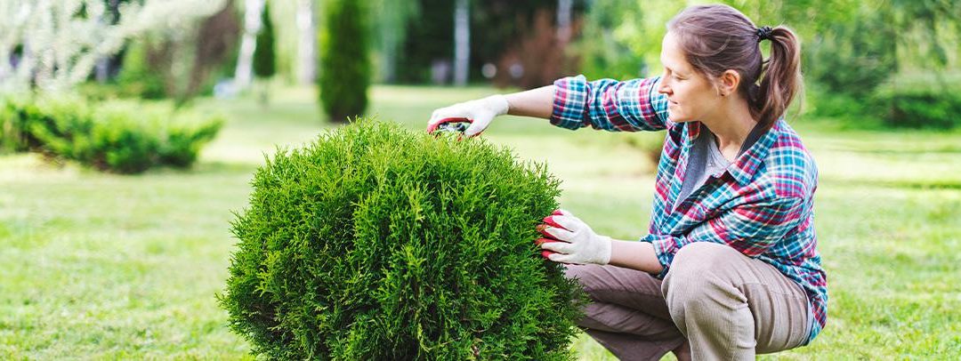 Boosting Curb Appeal Before Summer Heat