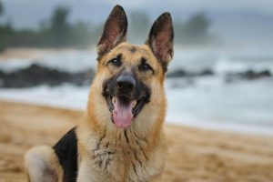 gettyimages-755747809